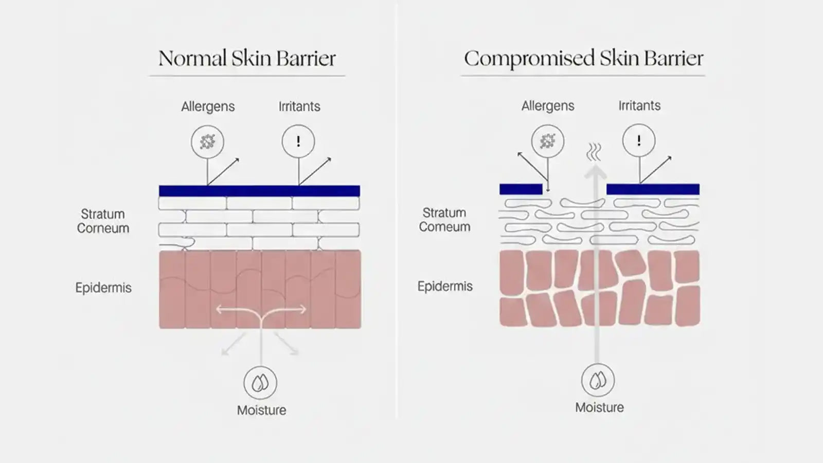 How to Repair & Strengthen Skin Barrier in Pakistan – Radiance360